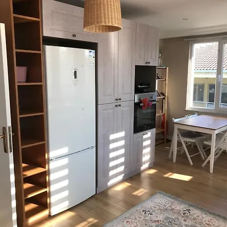 فيلة Orman Manzarali Muestakil Genis Villa Arnavutkoy